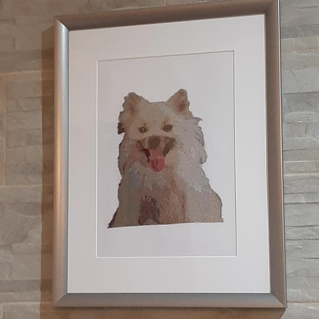 Custom Dog Cross-stitch